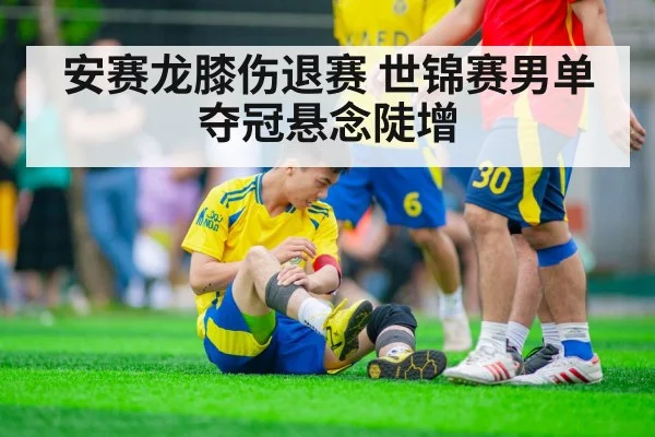 安赛龙膝伤退赛 世锦赛男单夺冠悬念陡增